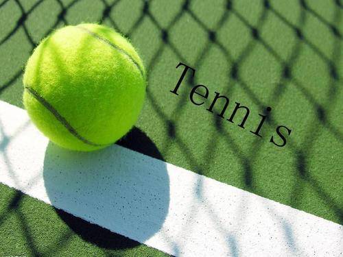 拉脱维亚的 拉脱维亚的