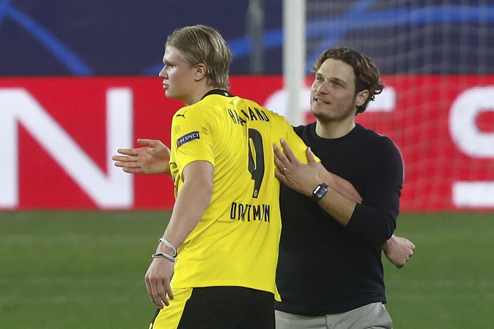 20天的高 20天的高